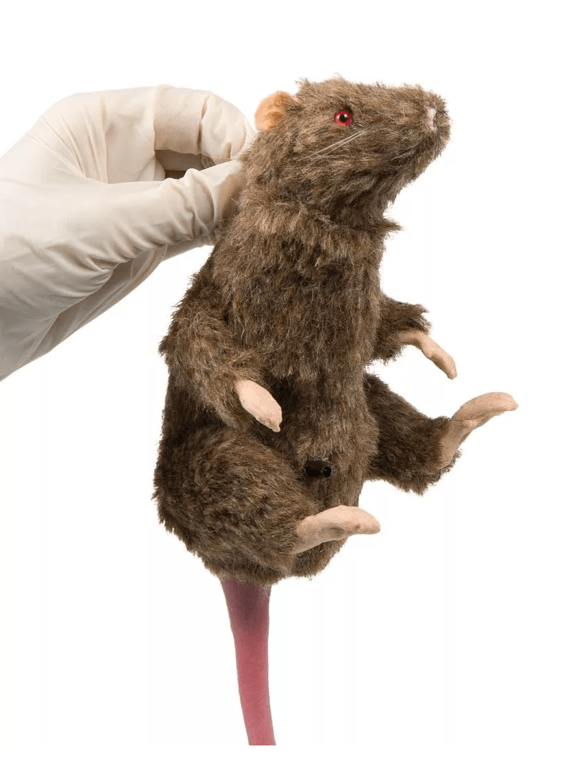 Squeekums - Erler - Zimmer